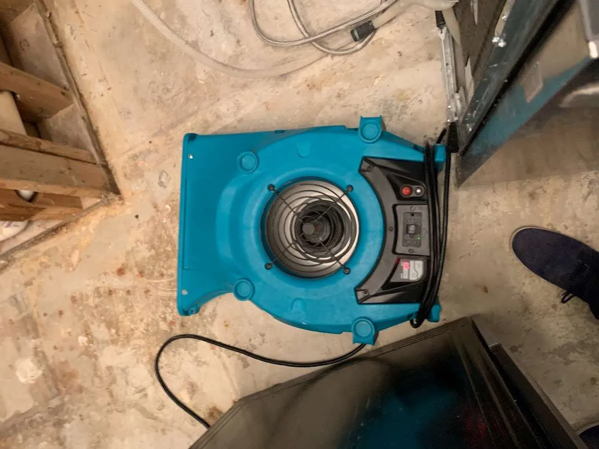 Air mover drying equipment for Mold Remediation & Removal in Heber