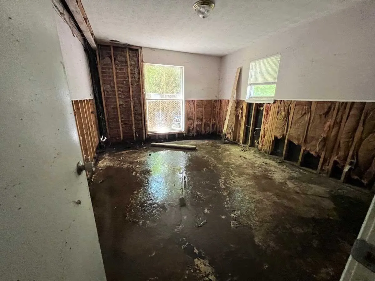 Basement Flood Cleanup in Heber, UT